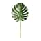 Tige de feuille de faux philodendron tropicale d’Ashland